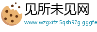 见所未见网